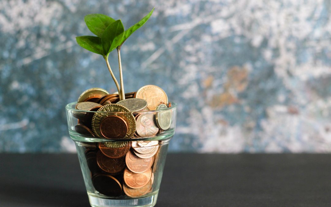 A Short Guide to Financial Wellbeing for SME’s
